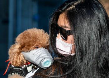 Mandatory Credit: Photo by ALEX PLAVEVSKI/EPA-EFE/Shutterstock (10563169i)A woman wearing a face mask holds her dog, also wearing a face mask, in Guangzhou, Guangdong, China, 21 February 2020. The disease COVIDF-19, caused by coronavirus SARS-CoV-2, has so far killed 2,247 people with over 76,200 infected worldwide.Coronavirus in China, Guangzhou - 21 Feb 2020