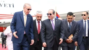 السيسي مع اردوغان